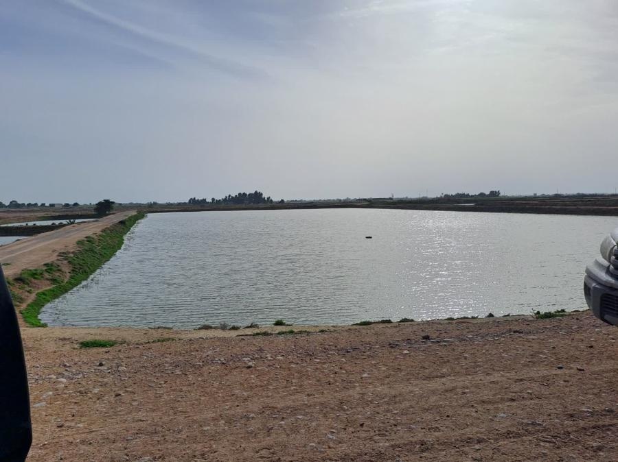 حفظ زمین، سرمایه ای برای آینده تولید