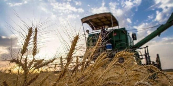 خرید گندم در خوزستان به بیش از یک میلیون و ۴۰۰ هزار تن رسید