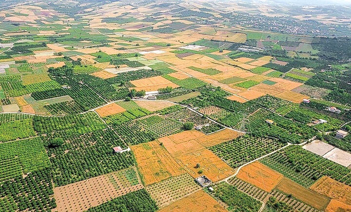 سنددار شدن کشاورزان شهرستان مسجدسلیمان در اجرای رفع تداخلات اراضی