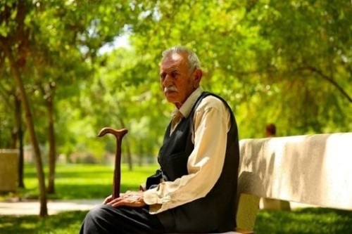 متناسب‌سازی حقوق بازنشستگان به کجا رسید/ مدیرعامل سازمان تامین‌اجتماعی درباره حقوق بازنشستگان چه گفت؟